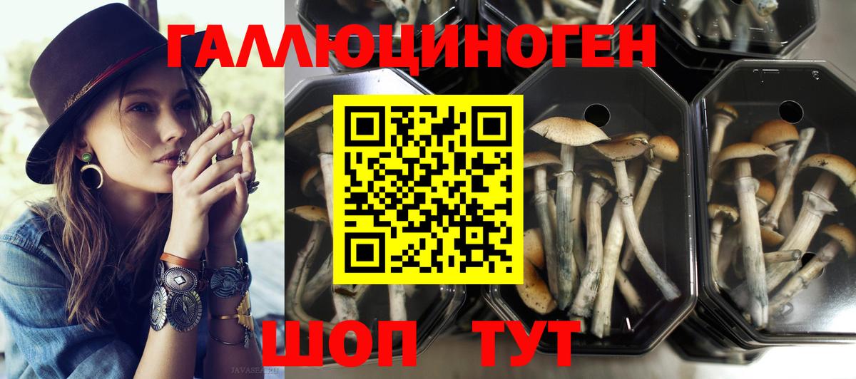 Галлюциногенные грибы мицелий Кохма